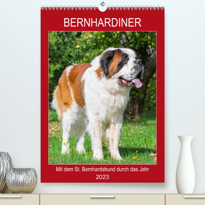 Bernhardiner – Mit dem St. Bernhardshund durch das Jahr (Premium, hochwertiger DIN A2 Wandkalender 2023, Kunstdruck in Hochglanz) von Starick,  Sigrid