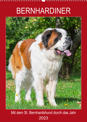 Bernhardiner – Mit dem St. Bernhardshund durch das Jahr (Wandkalender 2023 DIN A2 hoch) von Starick,  Sigrid