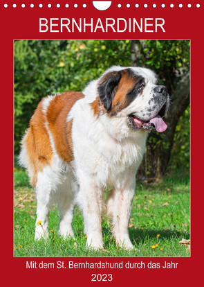 Bernhardiner – Mit dem St. Bernhardshund durch das Jahr (Wandkalender 2023 DIN A4 hoch) von Starick,  Sigrid