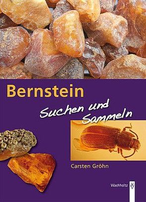 Bernstein von Gröhn,  Carsten