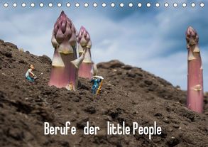 Berufe der little People (Tischkalender 2019 DIN A5 quer) von Rochow,  Holger
