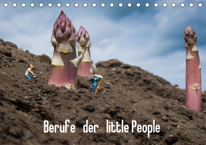Berufe der little People (Tischkalender 2021 DIN A5 quer) von Rochow,  Holger