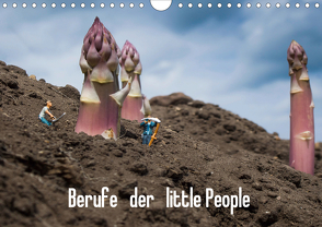 Berufe der little People (Wandkalender 2021 DIN A4 quer) von Rochow,  Holger