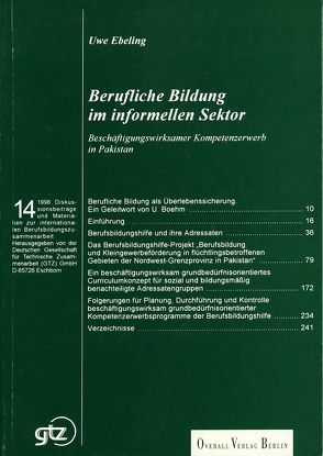 Berufliche Bildung im informellen Sektor von Boehm,  Ullrich, Ebeling,  Uwe, Gold,  Ewald, Schröter,  Hans G.