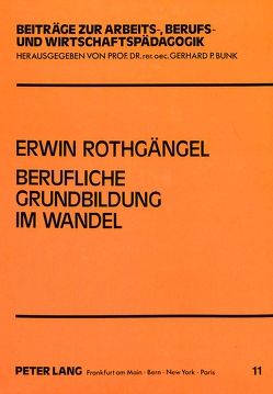 Berufliche Grundbildung im Wandel von Rothgängel,  Erwin