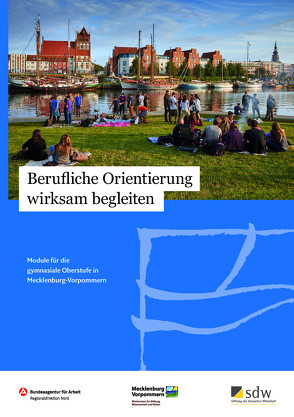 Berufliche Orientierung wirksam begleiten von Wittmer-Gerber,  Saskia