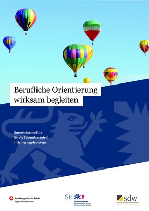 Berufliche Orientierung wirksam begleiten von Wittmer-Gerber,  Saskia