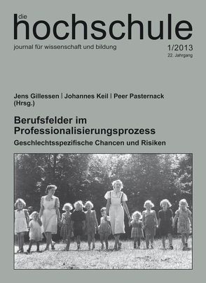 Berufsfelder im Professionalisierungsprozess von Gillessen,  Jens, Keil,  Johannes, Pasternack,  Peer