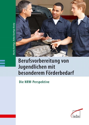 Berufsvorbereitung von Jugendlichen mit besonderem Förderbedarf von Baethge,  Martin, Baethge-Kinsky,  Volker