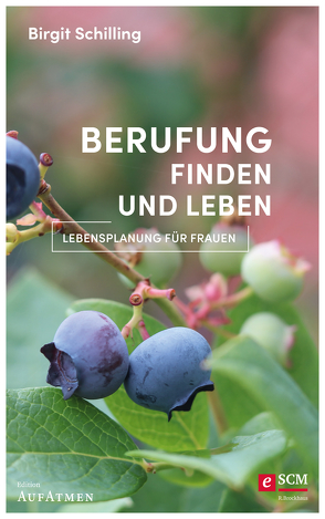 Berufung finden und leben von Schilling,  Birgit