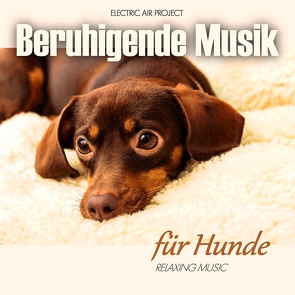 Beruhigende Musik Für Hunde von Vietze,  Thomas