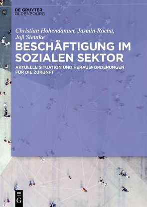 Beschäftigung im Sozialen Sektor von Hohendanner,  Christian, Rocha,  Jasmin, Steinke,  Joß