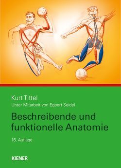 Beschreibende und funktionelle Anatomie von Seidel,  Egbert, Tittel,  Kurt