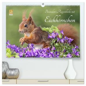 Besondere Augenblicke mit Eichhörnchen (hochwertiger Premium Wandkalender 2024 DIN A2 quer), Kunstdruck in Hochglanz von Meier,  Tine