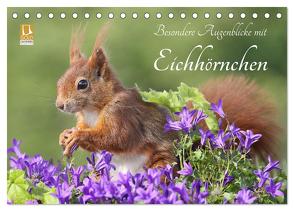 Besondere Augenblicke mit Eichhörnchen (Tischkalender 2024 DIN A5 quer), CALVENDO Monatskalender von Meier,  Tine