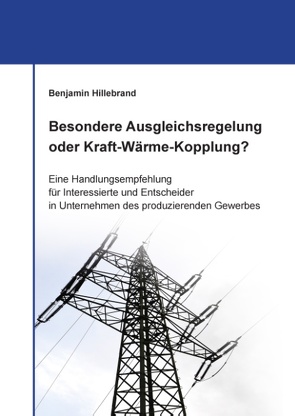 Besondere Ausgleichsregelung oder Kraft-Wärme-Kopplung? von Hillebrand,  Benjamin