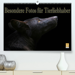 Besondere Fotos für Tierliebhaber (Premium, hochwertiger DIN A2 Wandkalender 2021, Kunstdruck in Hochglanz) von Swierczyna,  Eleonore