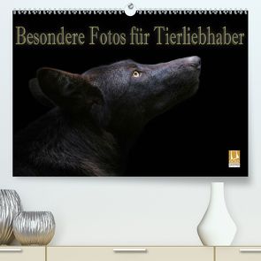 Besondere Fotos für Tierliebhaber (Premium, hochwertiger DIN A2 Wandkalender 2020, Kunstdruck in Hochglanz) von Swierczyna,  Eleonore