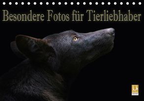 Besondere Fotos für Tierliebhaber (Tischkalender 2018 DIN A5 quer) von Swierczyna,  Eleonore