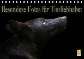 Besondere Fotos für Tierliebhaber (Tischkalender 2019 DIN A5 quer) von Swierczyna,  Eleonore