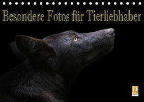 Besondere Fotos für Tierliebhaber (Tischkalender 2020 DIN A5 quer) von Swierczyna,  Eleonore