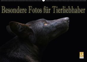 Besondere Fotos für Tierliebhaber (Wandkalender 2018 DIN A2 quer) von Swierczyna,  Eleonore