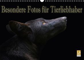 Besondere Fotos für Tierliebhaber (Wandkalender 2018 DIN A3 quer) von Swierczyna,  Eleonore