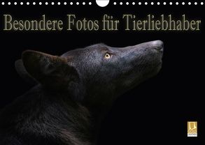 Besondere Fotos für Tierliebhaber (Wandkalender 2018 DIN A4 quer) von Swierczyna,  Eleonore