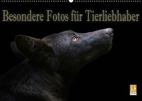 Besondere Fotos für Tierliebhaber (Wandkalender 2019 DIN A2 quer) von Swierczyna,  Eleonore