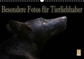 Besondere Fotos für Tierliebhaber (Wandkalender 2019 DIN A3 quer) von Swierczyna,  Eleonore