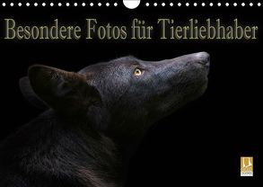 Besondere Fotos für Tierliebhaber (Wandkalender 2019 DIN A4 quer) von Swierczyna,  Eleonore