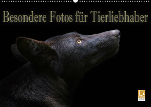 Besondere Fotos für Tierliebhaber (Wandkalender 2020 DIN A2 quer) von Swierczyna,  Eleonore