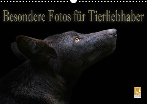 Besondere Fotos für Tierliebhaber (Wandkalender 2020 DIN A3 quer) von Swierczyna,  Eleonore