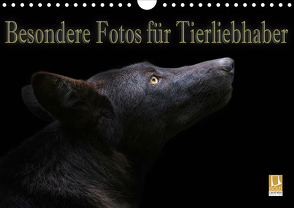 Besondere Fotos für Tierliebhaber (Wandkalender 2020 DIN A4 quer) von Swierczyna,  Eleonore