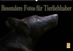 Besondere Fotos für Tierliebhaber (Wandkalender 2021 DIN A2 quer) von Swierczyna,  Eleonore