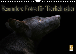 Besondere Fotos für Tierliebhaber (Wandkalender 2021 DIN A4 quer) von Swierczyna,  Eleonore