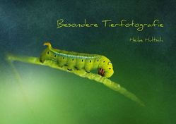 Besondere Tierfotografie (Posterbuch DIN A2 quer) von Hultsch,  Heike