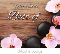 Best of Chillout & Lounge von Stein,  Arnd