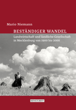 Beständiger Wandel von Niemann,  Mario