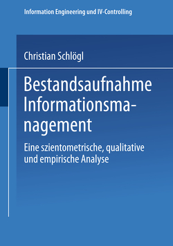 Bestandsaufnahme Informationsmanagement von Schlögl,  Christian