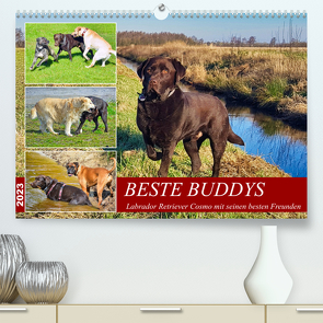 Beste Buddys (Premium, hochwertiger DIN A2 Wandkalender 2023, Kunstdruck in Hochglanz) von Kleemann,  Claudia