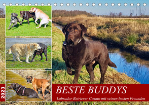 Beste Buddys (Tischkalender 2023 DIN A5 quer) von Kleemann,  Claudia