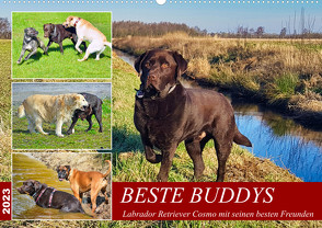 Beste Buddys (Wandkalender 2023 DIN A2 quer) von Kleemann,  Claudia