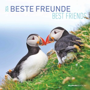 Beste Freunde 2024 – Broschürenkalender 30×30 cm (30×60 geöffnet) – Kalender mit Platz für Notizen – Best Friends – Bildkalender – Wandkalender