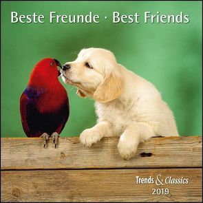 Beste Freunde Best Friends 2019 – Broschürenkalender – Wandkalender – mit herausnehmbarem Poster – Format 30 x 30 cm von DUMONT Kalenderverlag