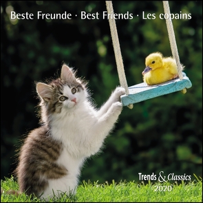 Beste Freunde Best Friends 2020 – Broschürenkalender – Wandkalender – mit herausnehmbarem Poster – Format 30 x 30 cm von DUMONT Kalenderverlag