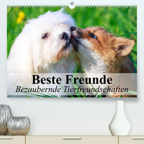 Beste Freunde – Bezaubernde Tierfreundschaften (Premium, hochwertiger DIN A2 Wandkalender 2023, Kunstdruck in Hochglanz) von Stanzer,  Elisabeth