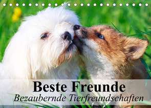 Beste Freunde – Bezaubernde Tierfreundschaften (Tischkalender 2022 DIN A5 quer) von Stanzer,  Elisabeth