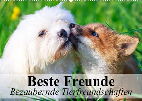 Beste Freunde – Bezaubernde Tierfreundschaften (Wandkalender 2023 DIN A2 quer) von Stanzer,  Elisabeth