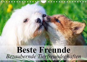 Beste Freunde – Bezaubernde Tierfreundschaften (Wandkalender 2023 DIN A4 quer) von Stanzer,  Elisabeth